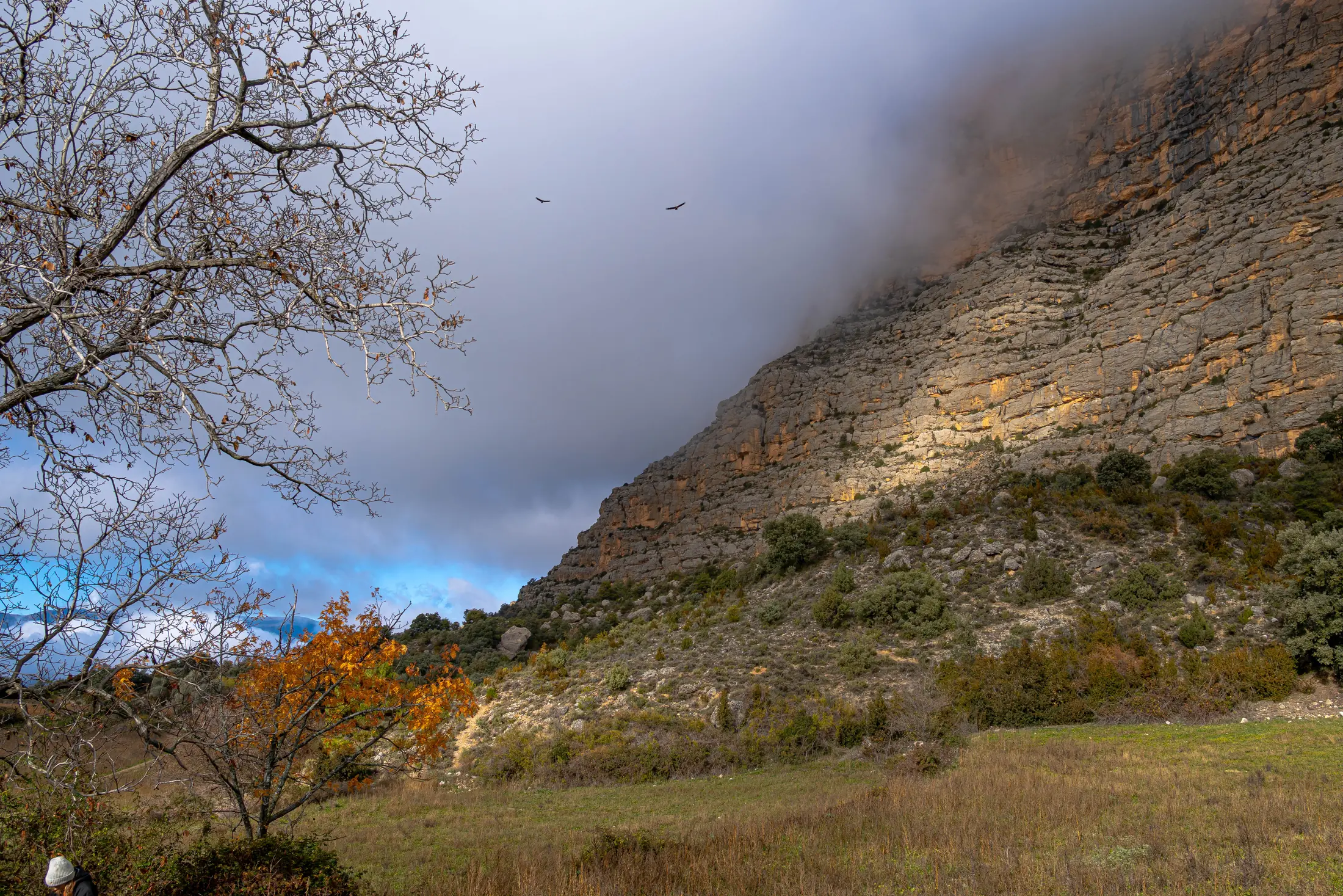 Pradera y bosque de Boumort durante el otoño