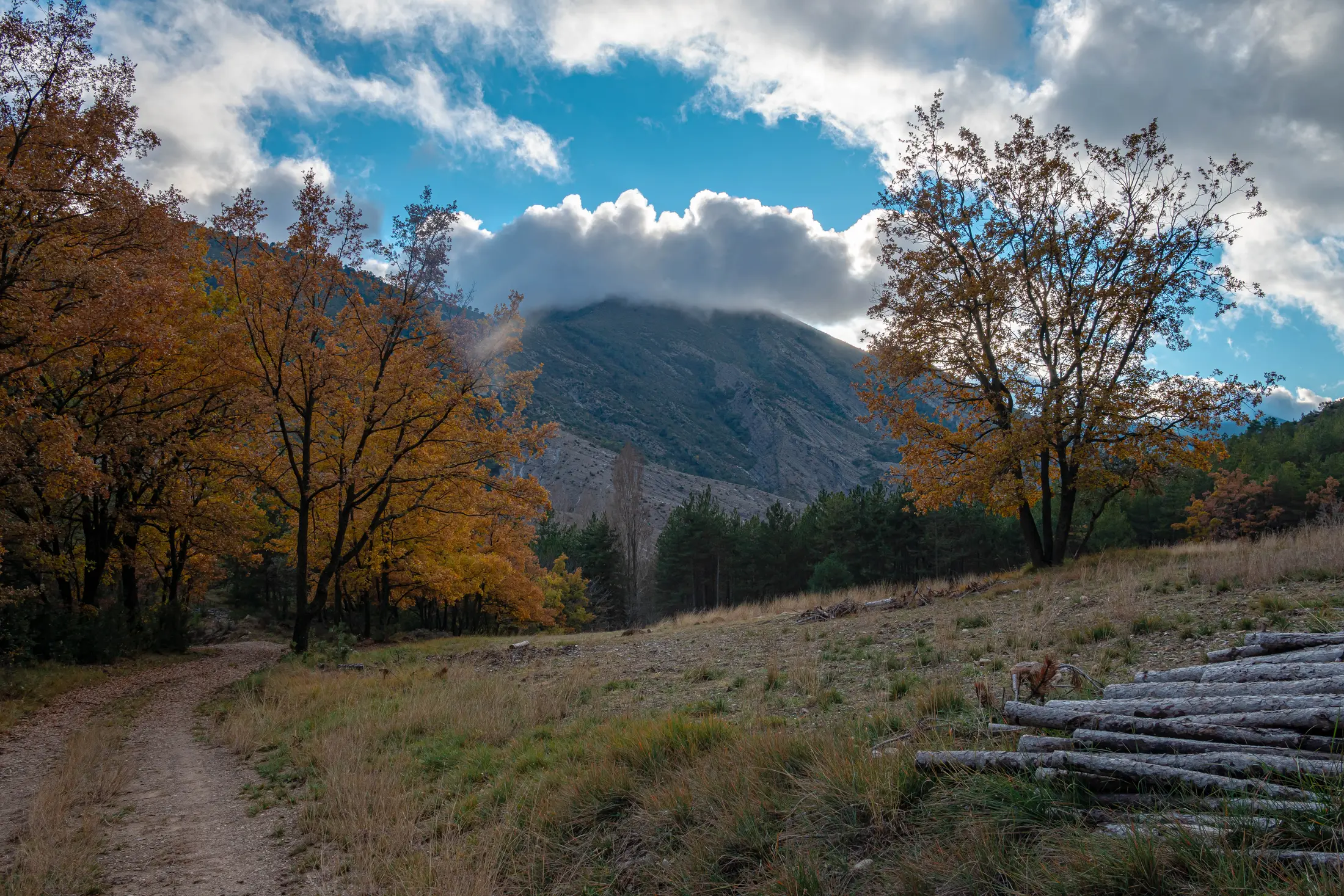Bosque de Boumort con colores de otoño y montaña al fondo