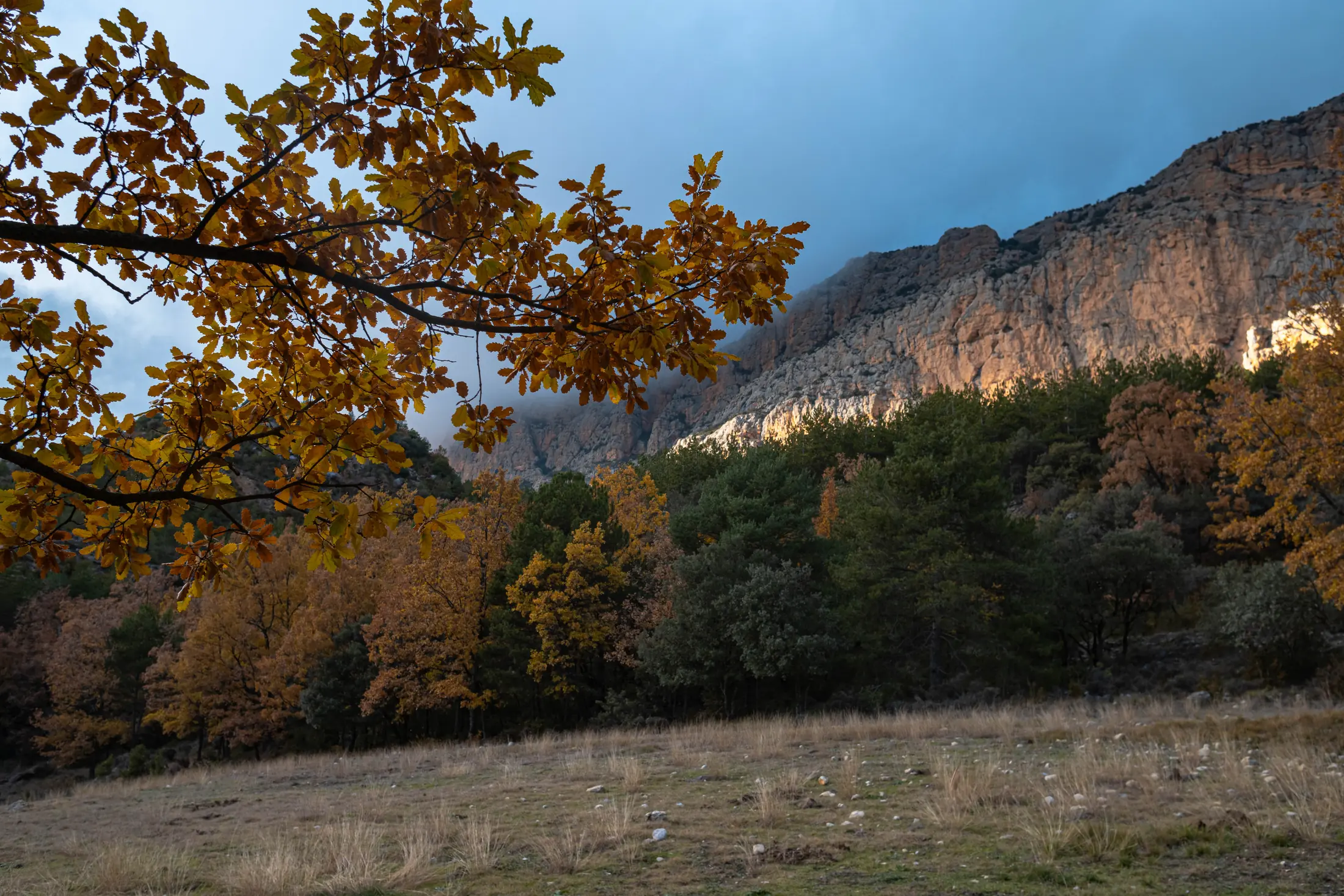 Paisaje otoñal de la Reserva de Boumort con bosque y paredes calcáreas