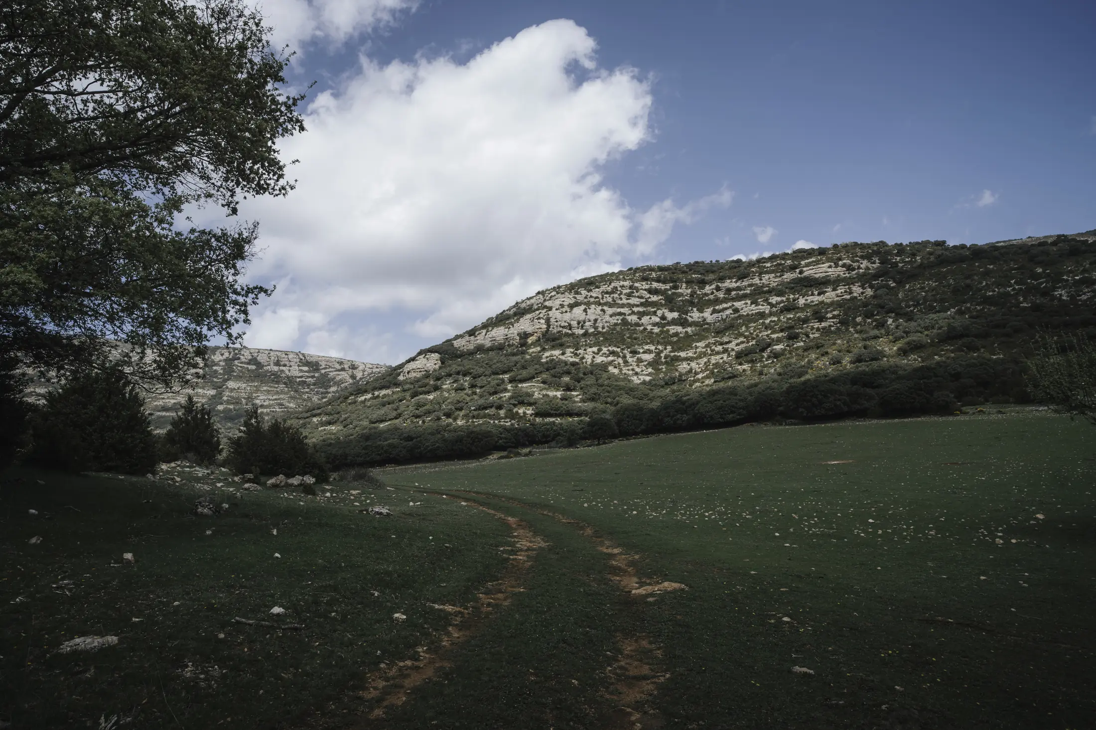 Pradera y montañas calcáreas en la Reserva Nacional de Boumort