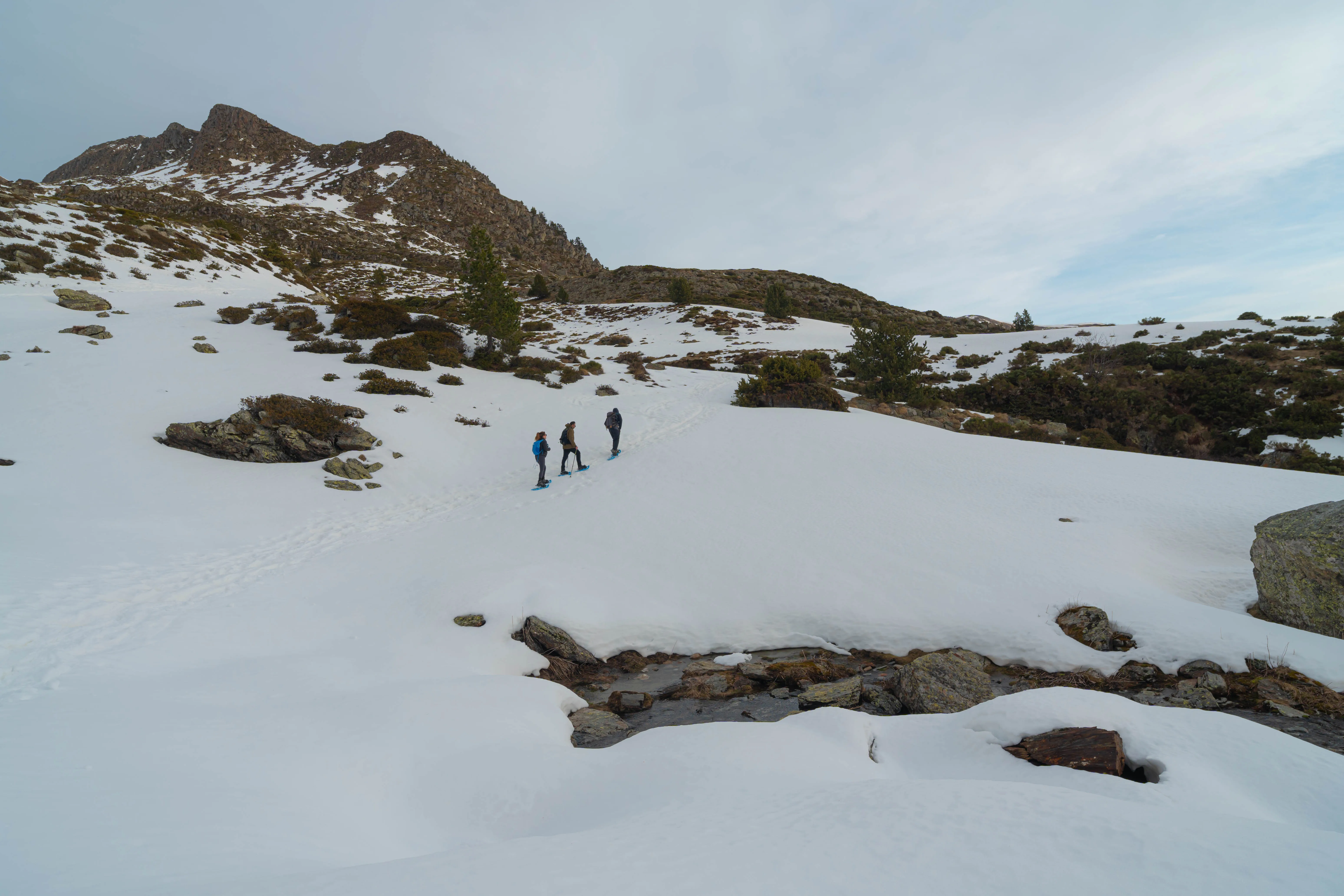 Grupo de excursionistas con raquetas ascendiendo por una ladera nevada hacia el Pic de la Coma del Forn