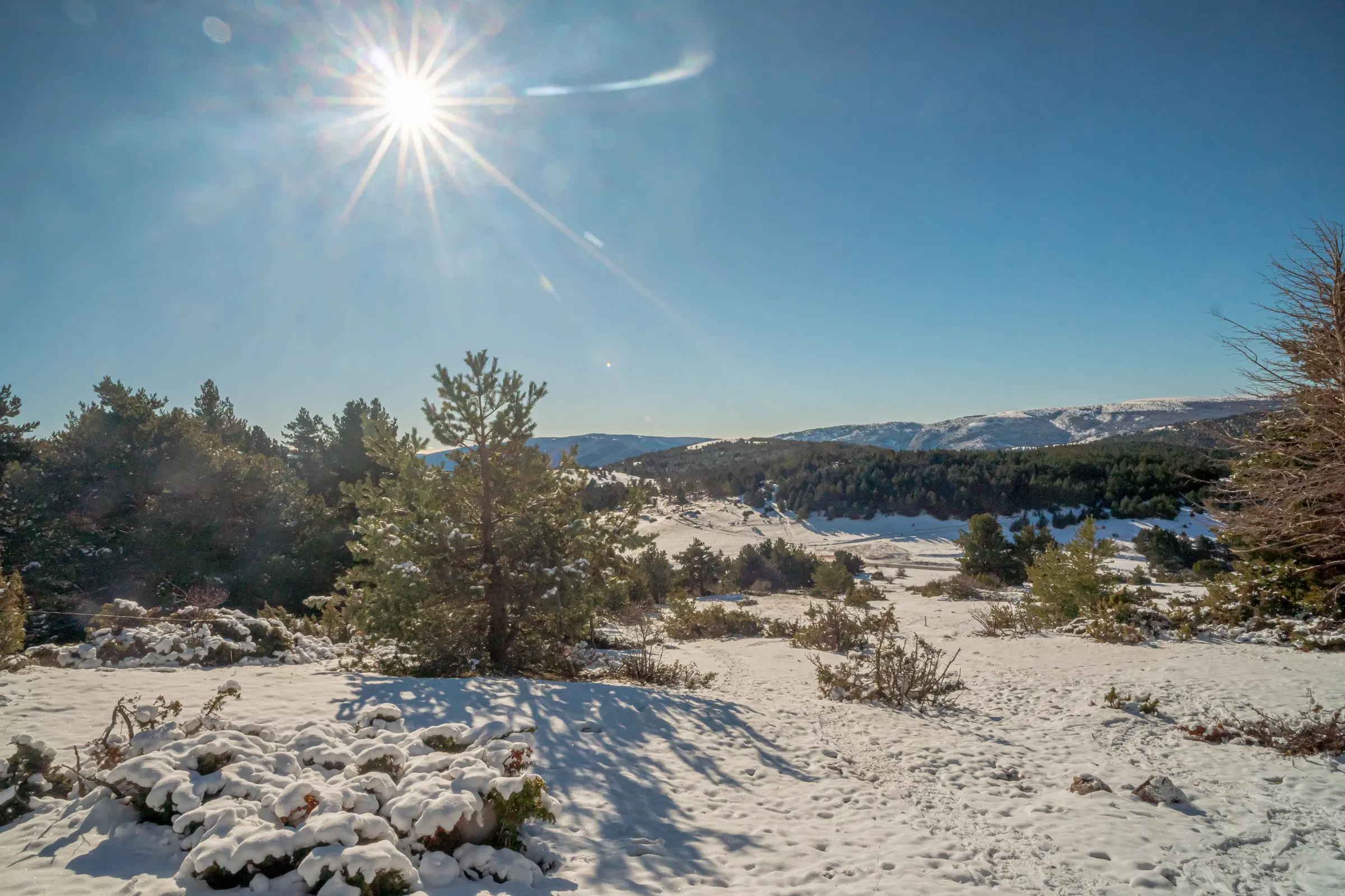 Paisaje nevado y vistas a las montañas durante la ruta con raquetas de nieve al Refugi Comes de Rubió, en los Pirineos catalanes