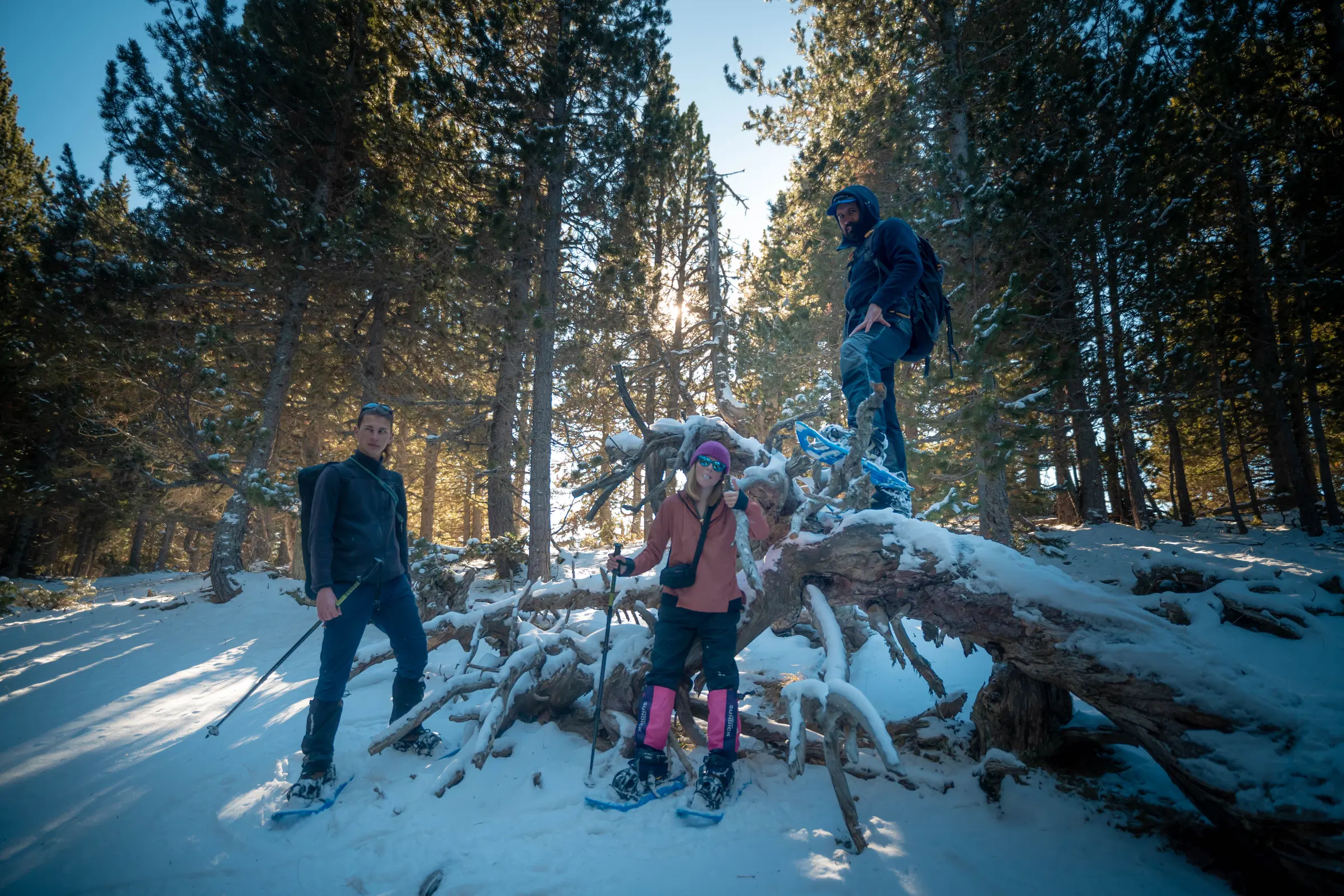 Grupo de excursionistas con raquetas avanzando entre árboles caídos en un bosque nevado cerca del Refugi Comes de Rubió