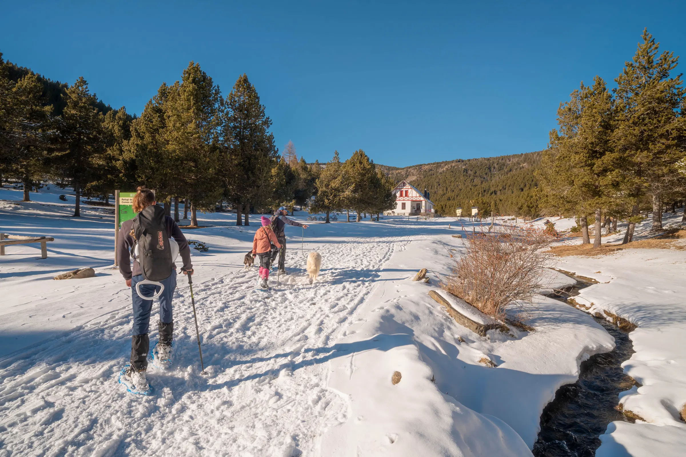 Excursionistas con raquetas acercándose al Refugi Comes de Rubió junto a un arroyo de montaña cubierto de nieve