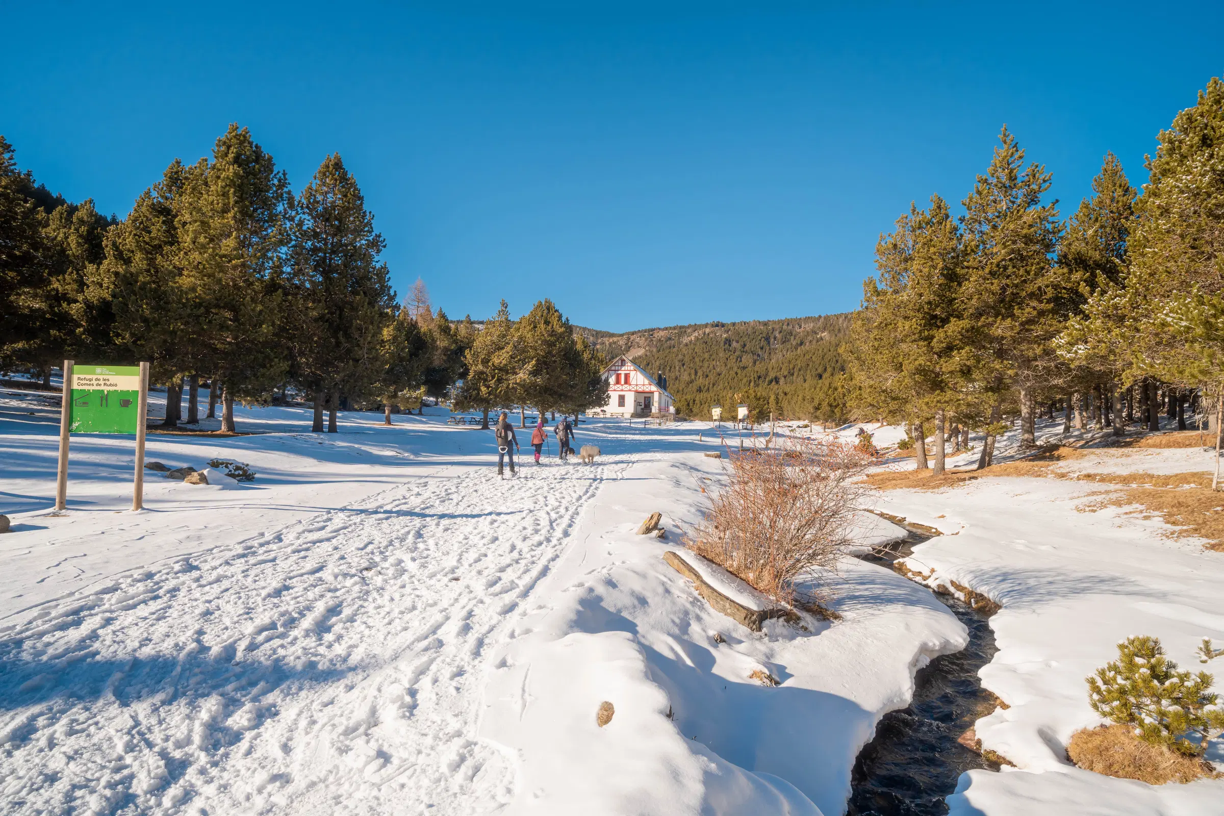 Entorno nevado del Refugi Comes de Rubió con un arroyo de montaña y bosque de pinos