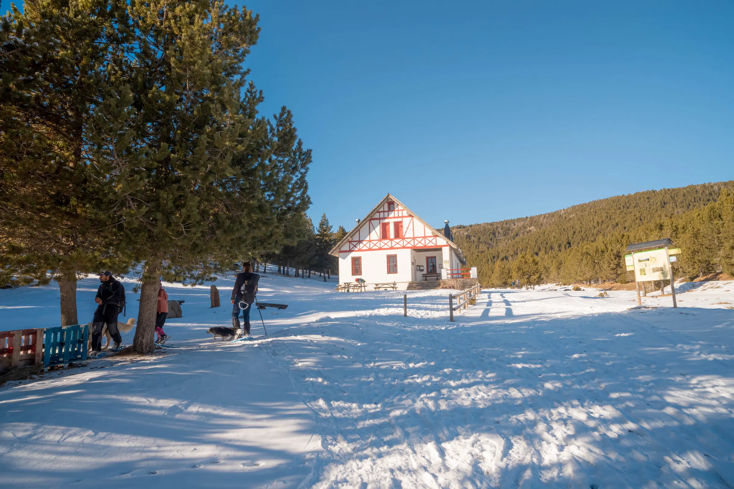 Excursionistas con raquetas llegando al Refugi Comes de Rubió en un paisaje nevado de los Pirineos