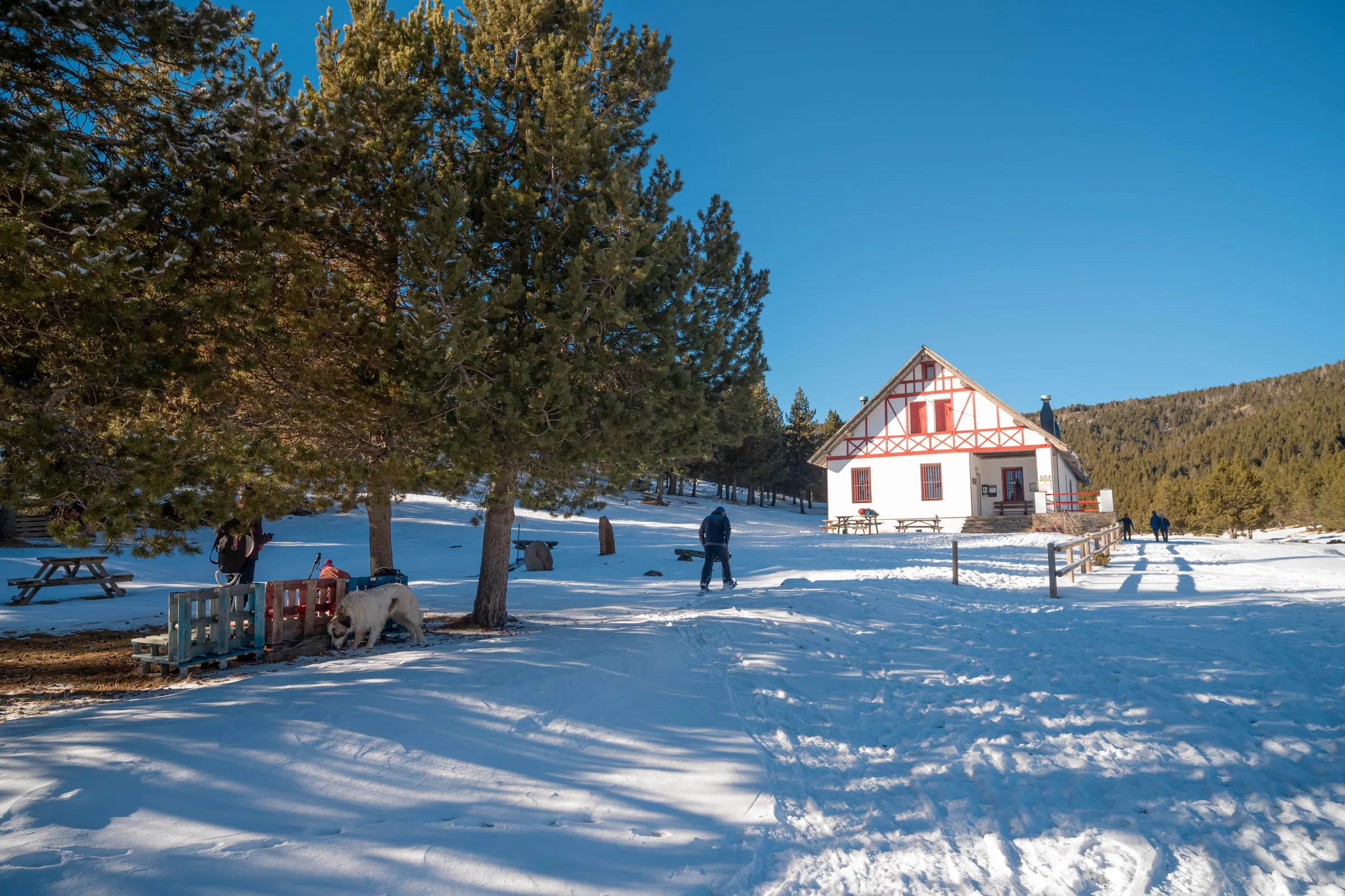 Refugi Comes de Rubió rodeado de nieve y pinos en los Pirineos catalanes