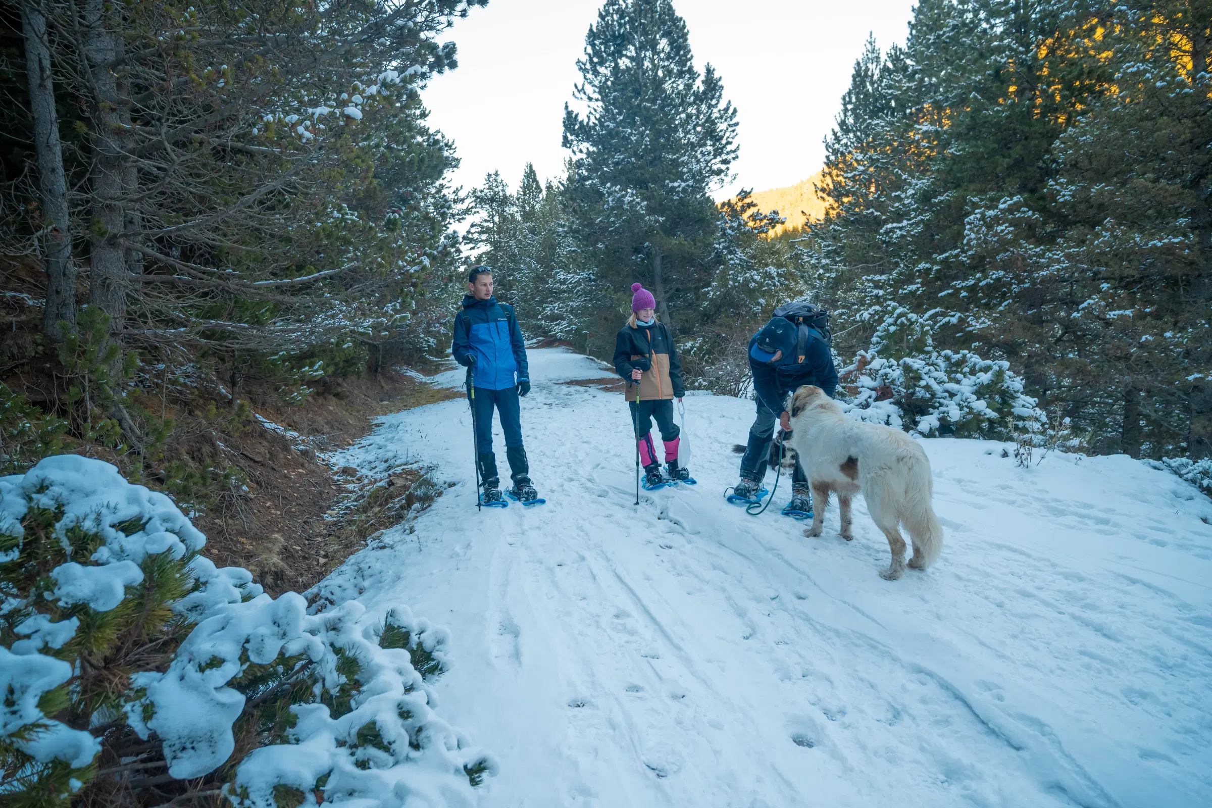 Grupo de excursionistas con raquetas y un perro caminando por un sendero nevado cerca del Refugi Comes de Rubió