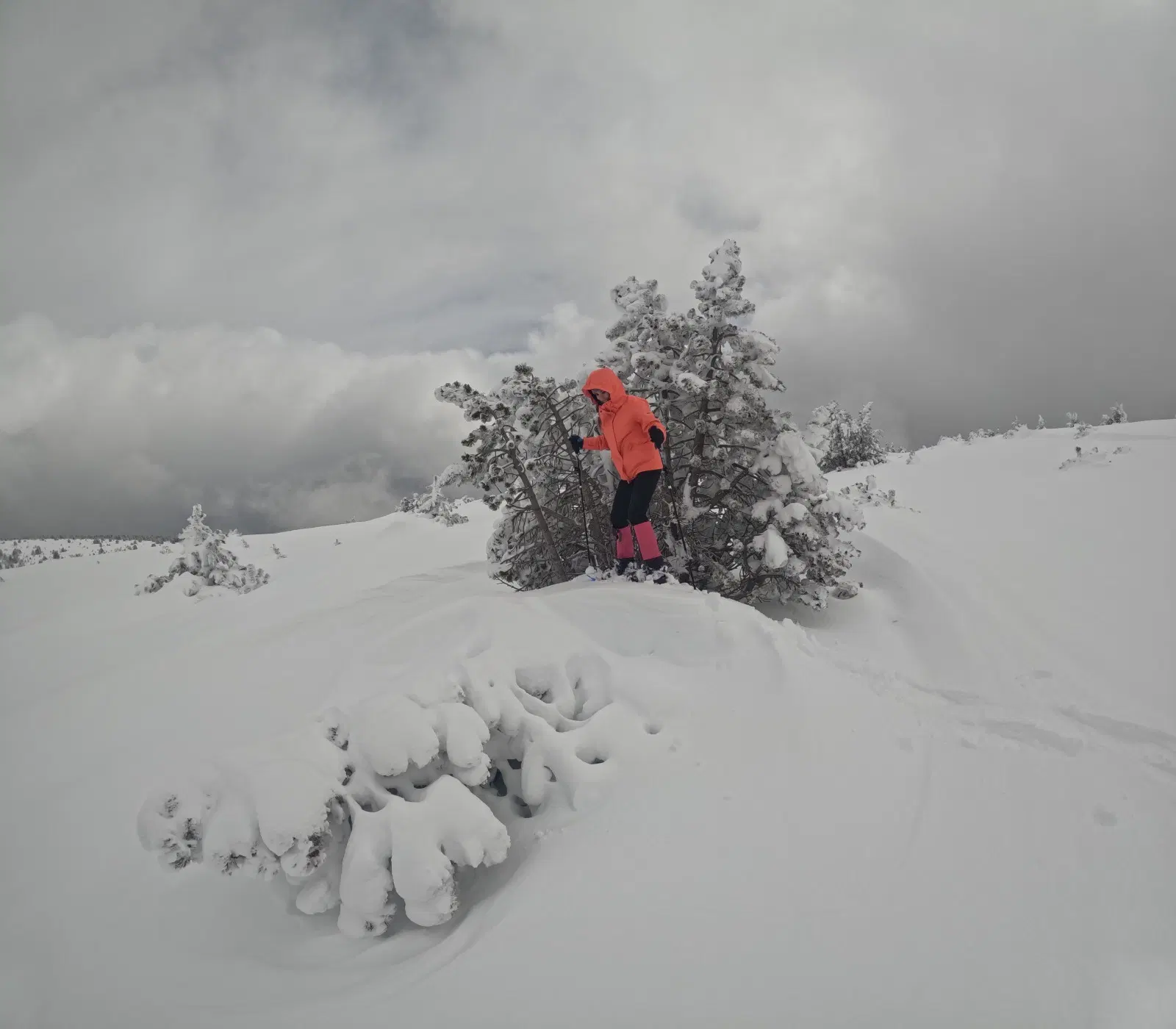 Ruta con raquetas de nieve desde Port Ainé hasta el Pic de l’Orri por un paisaje de montaña nevado en los Pirineos catalanes