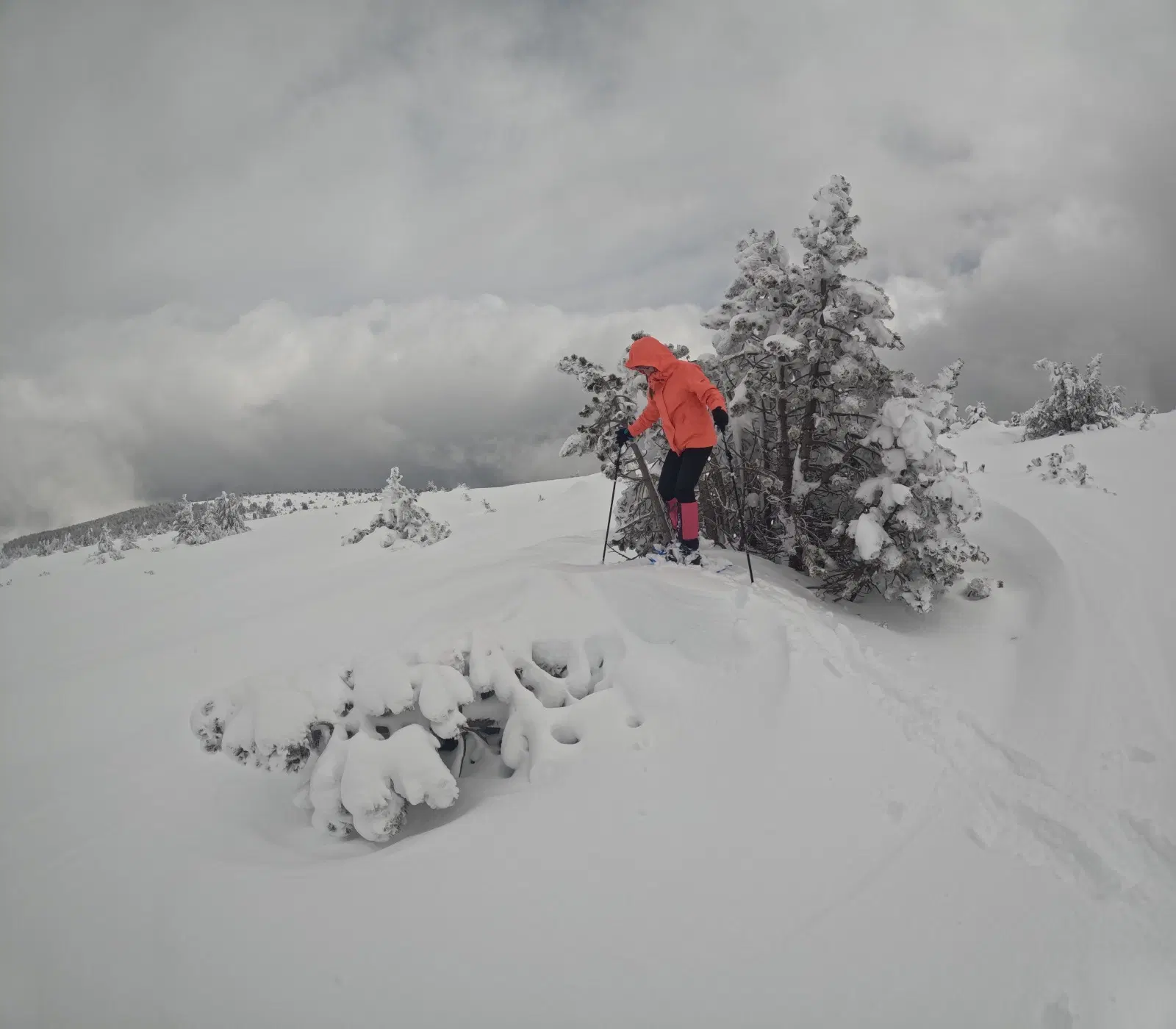 Ruta con raquetas de nieve desde Port Ainé hasta el Pic de l’Orri entre nieve profunda y pinos de montaña cubiertos de nieve en los Pirineos catalanes