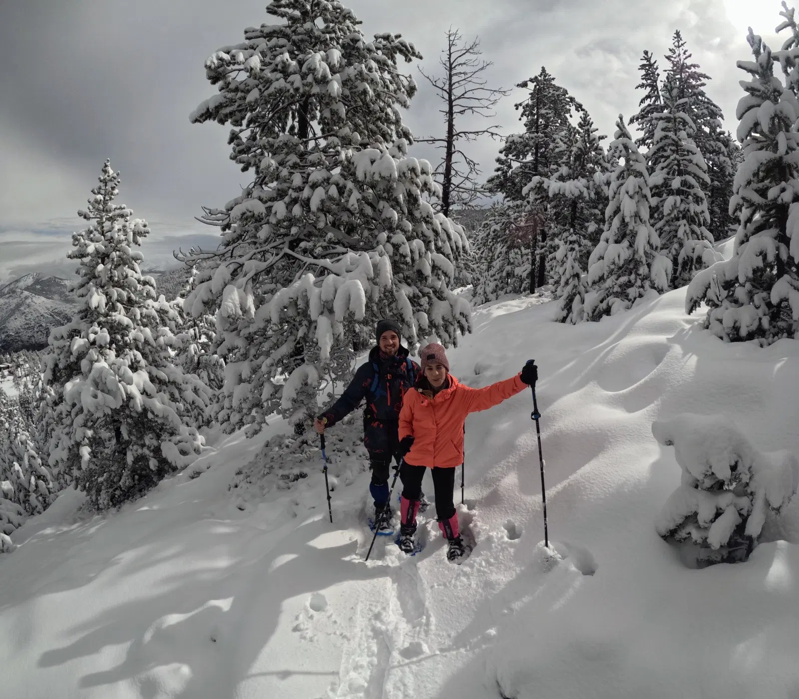 Ruta con raquetas de nieve desde Port Ainé hasta el Pic de l’Orri por un bosque de pinos de montaña cubierto de nieve en los Pirineos catalanes