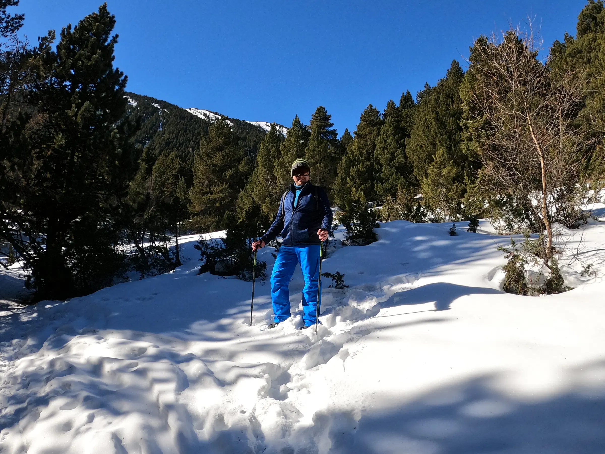 Ruta con raquetas de nieve por nieve profunda en un bosque de pinos soleado, camino del Refugi Pla de la Font, en los Pirineos catalanes