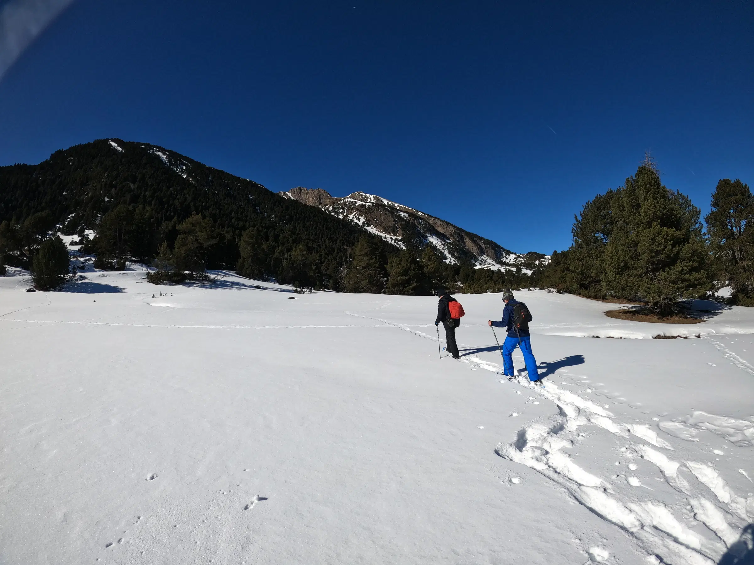 Mejores rutas con raquetas en los Pirineos: dos excursionistas atraviesan un campo nevado entre bosques de pinos y montañas.