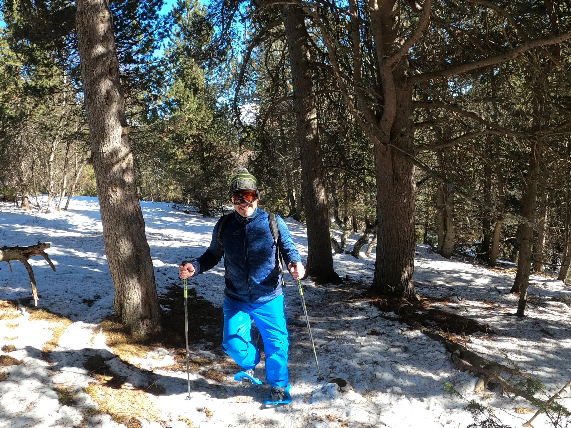 Ruta con raquetas de nieve por un bosque de pinos con zonas cubiertas de nieve, camino del Refugi Pla de la Font, en los Pirineos catalanes