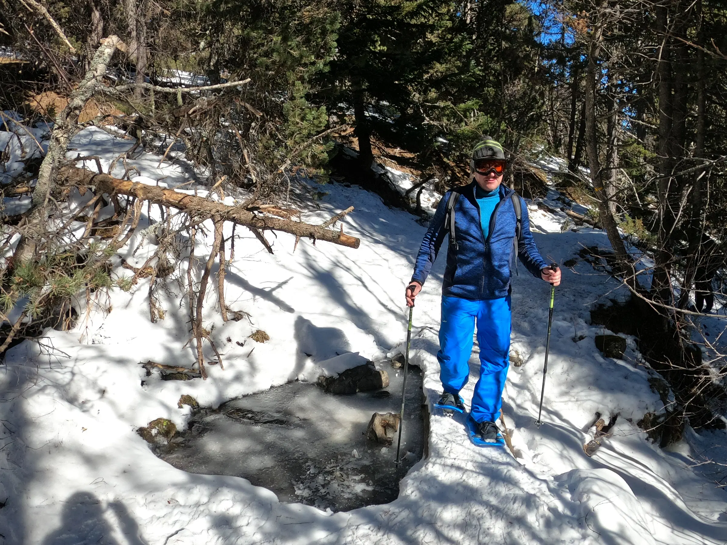 Ruta con raquetas de nieve junto a un arroyo de montaña helado, en un bosque de pinos nevado, camino del Refugi Pla de la Font, en los Pirineos catalanes