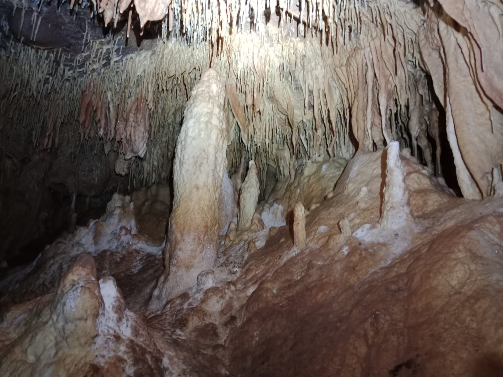 Denses formacions d’estalactites, estalagmites i colades calcàries a l’interior de la Sima del Barbuxell