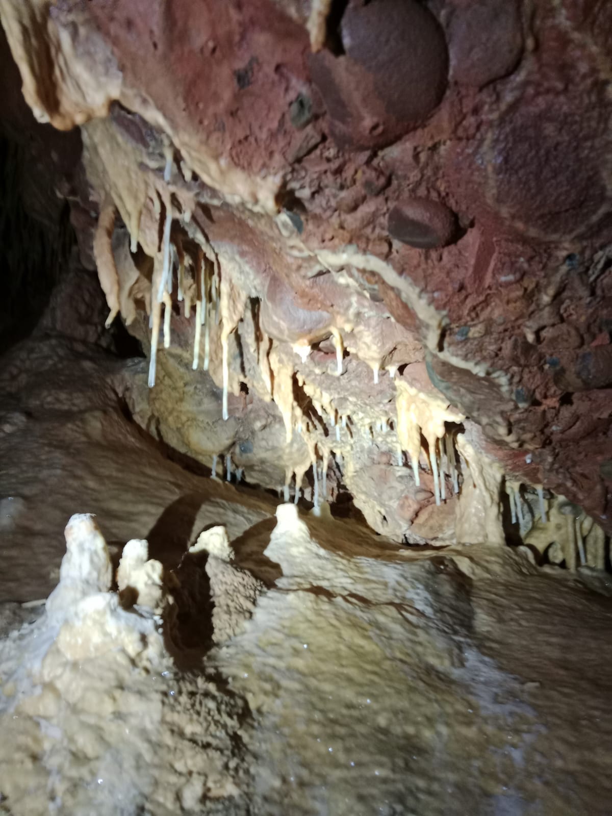 Estalactites i petites estalagmites entre formacions calcàries vermelloses i blanques a l’interior de la Sima del Barbuxell