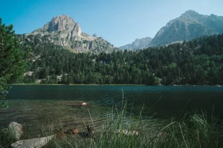 Paisaje del Parque Nacional de Aigüestortes y Estany de Sant Maurici con lago, bosque y montañas.