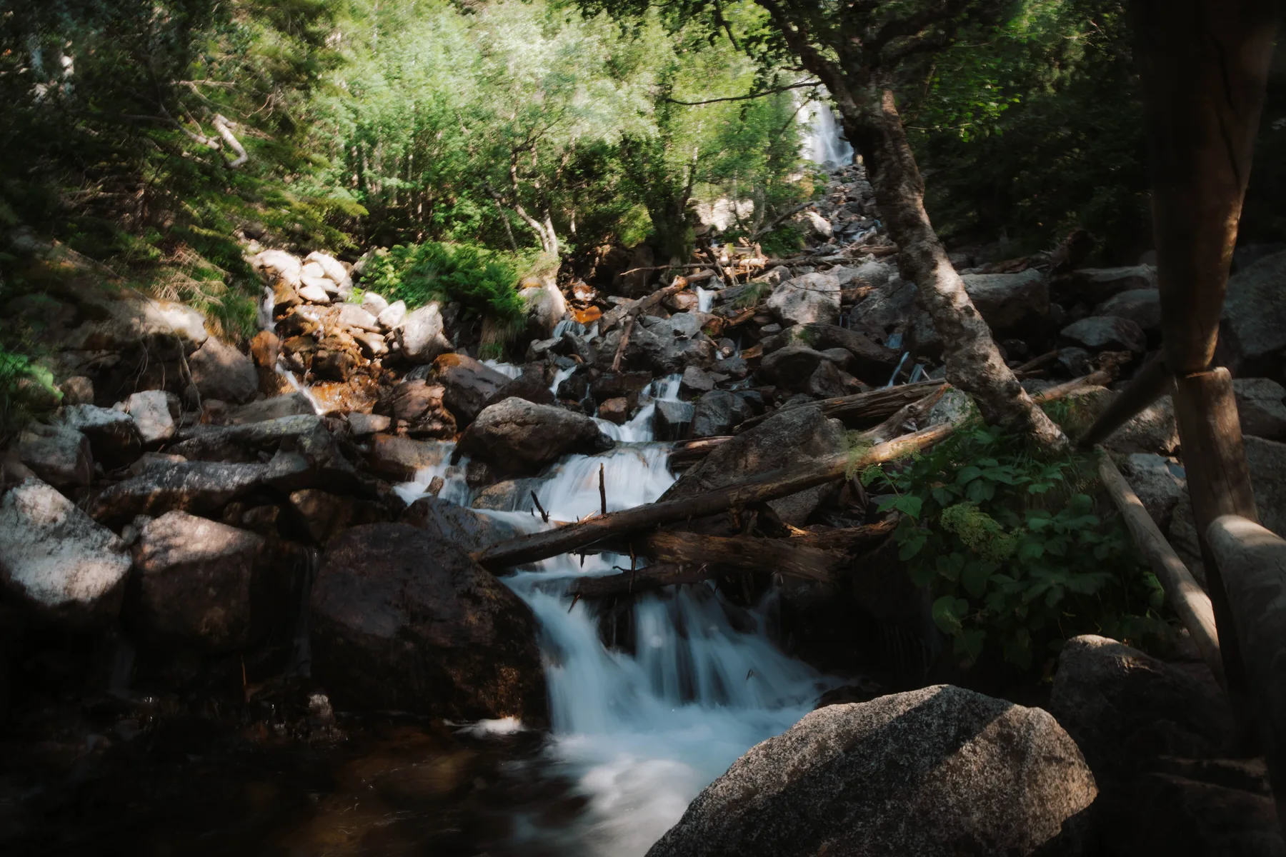 Arroyo de montaña entre rocas y bosque en el Parque Nacional de Aigüestortes.